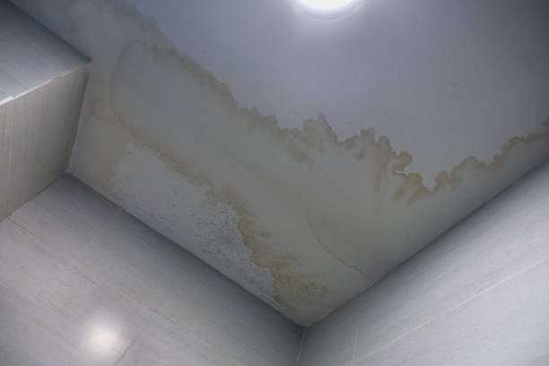 Leaking Roof Riverview FL