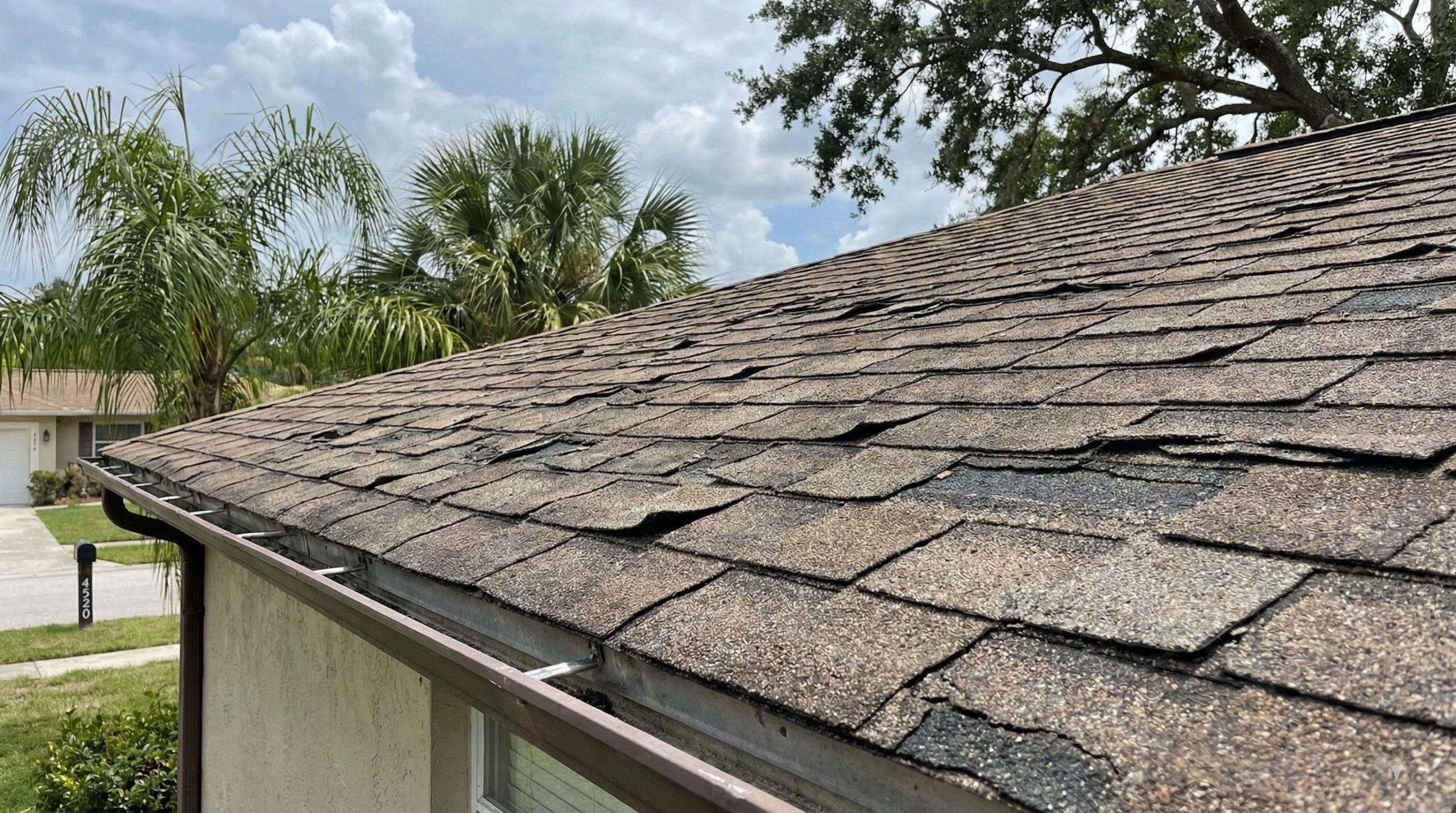 Insurance Claim Tampa FL